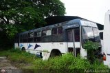 En Chiveras Abandonados Recuperacin 13