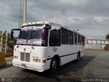 Transporte Virgen del Carmen 33, por Gabriel Vergara