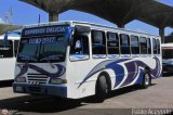 Expresos Delicias 15