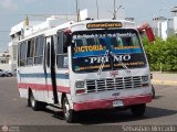 ZU - Colectivos La Limpia - La Estrella 300