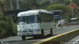 A.C. Expresos San Felipe 2012 16