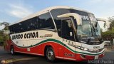 Rpido Ochoa 60103