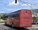 Trolmerida - Tromerca 07-2236