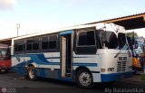 S.C. Lnea Qubor 13