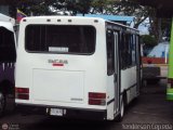 Lnea Unin Vargas 29
