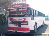 Expresos La Gran Colombia 36