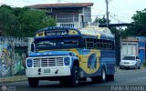Transporte Colectivo Palo Negro 068