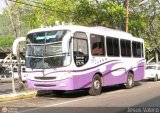 Unin Lnea Alberto Adriani C.A. 30 Comil Versatile Volkswagen 17.210 OD