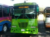 A.C. Transporte Paez 038