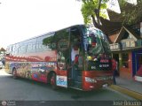 Sistema Integral de Transporte Superficial S.A 6541, por Jos Briceo