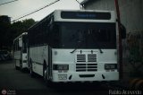 Transporte Unido (VAL - MCY - CCS - SFP) 020