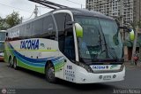 Buses Tacoha (Chile) 166, por Jerson Nova