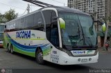 Buses Tacoha 166 por Jerson Nova