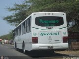 Transporte Bucaral 08