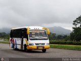 Expresos Ayacucho S.A. 40 Servibus de Venezuela ServiCity II Iveco Serie TurboDaily