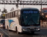 E.T. Maleo VIP 951 Comil Campione Vision 3.45 Scania K94IB