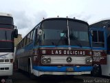 Transporte Las Delicias C.A. 016 por Josue S�nchez