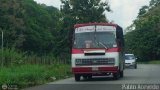 A.C. Cond. por Puesto El Angel del Llano 79 Fanabus BimboBus Chevrolet P31 Nacional