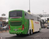 Expreso Internacional Palomino 7032