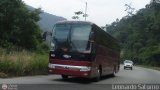 Sistema Integral de Transporte Superficial S.A 6521