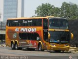 El Pulqui S.R.L. 019 Sudamericanas F50 DP Scania K420