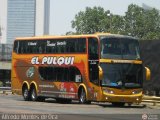 El Pulqui S.R.L. 019