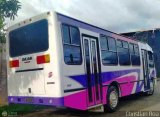 Asociacin Civil Lnea Unin Cordero 030