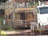 En Chiveras Abandonados Recuperacin 