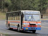 Transporte Colectivo Camag 07