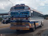Colectivo San Rafael (El Mojn) 06