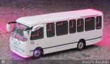 Maquetas y Miniaturas 37
