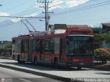 Trolmerida - Tromerca 36