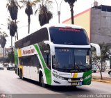 Expreso Internacional Palomino 8011