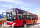 Trolmerida - Tromerca M22-05, por Andrs Figuera