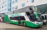 Inversiones Paredes Estrella (Per) 964