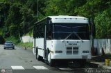 A.C. de Transporte Encarnacin 766