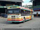 Cooperativa Canaima 04 Blue Bird All Canadian Blue Bird Diesel 01