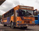 Expresos Delicias 42