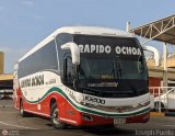 Rpido Ochoa 10200, por Joseph Puello