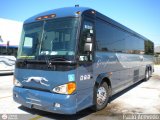 Greyhound 86383