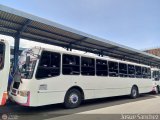 A.C. Indepasib ND, por Josue Snchez