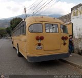 Universitarios y Escolares CDL-02