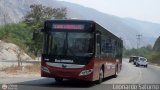 Bus Mrida 24, por Leonardo Saturno