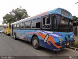 Particular o Transporte de Personal 04 Encava Culebra Ciega Blue Bird Diesel 01