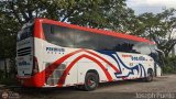 Expreso Brasilia 6684