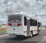 A.C.C. Turgar 05, por Miguel Pino