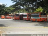 Garajes Paradas y Terminales Caracas, por Alfredo Montes de Oca