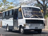 ZU - Colectivo Pomona 28, por Sebastin Mercado