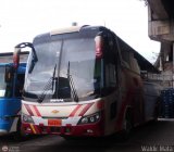 Panamericana Internacional 637 Miral Autobuses Infinity 400 Chevrolet LV150