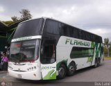 Expresos Flamingo 0051, por Bus Land